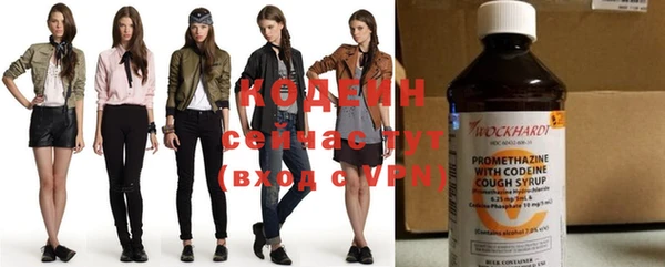 соль ск Бородино