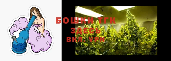 стаф Бугульма