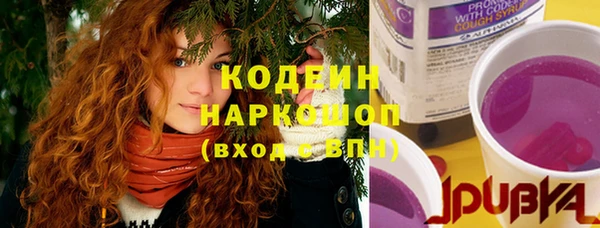 соль ск Бородино