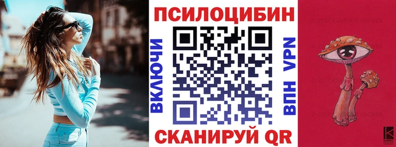 Галлюциногенные грибы мицелий  Купить  Оса 